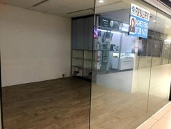 Lucky Plaza (D9), Shop House #498772131